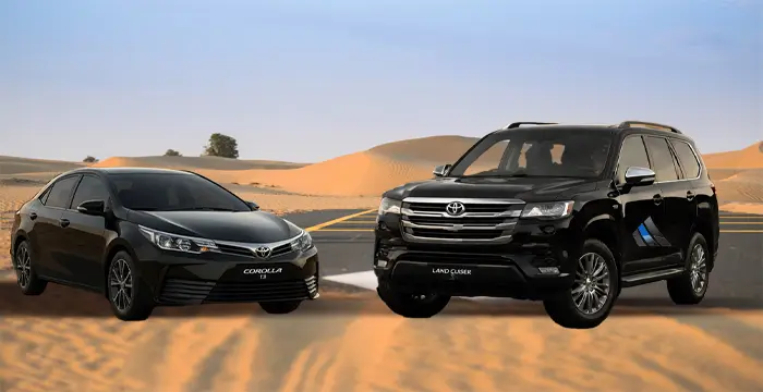 Self Drive Desert Safari